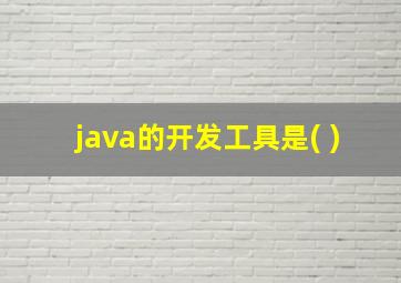 java的开发工具是( )